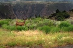 West Elk Scenic Byway